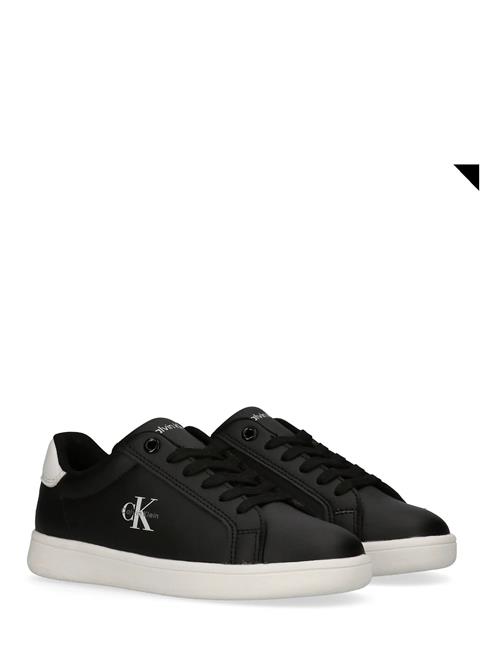 Calvin Klein | Calvin Klein Low Cut Lace-Up Sneaker | 33