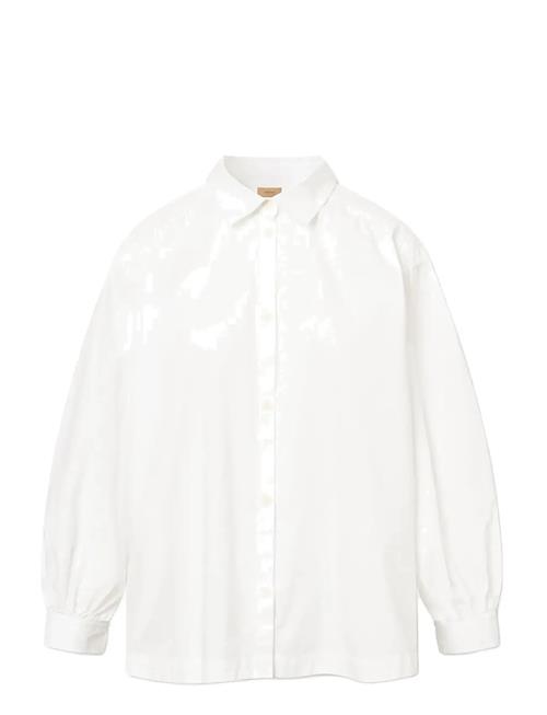 Rue de Tokyo | Sloan Organic Garment Dyed Poplin | S