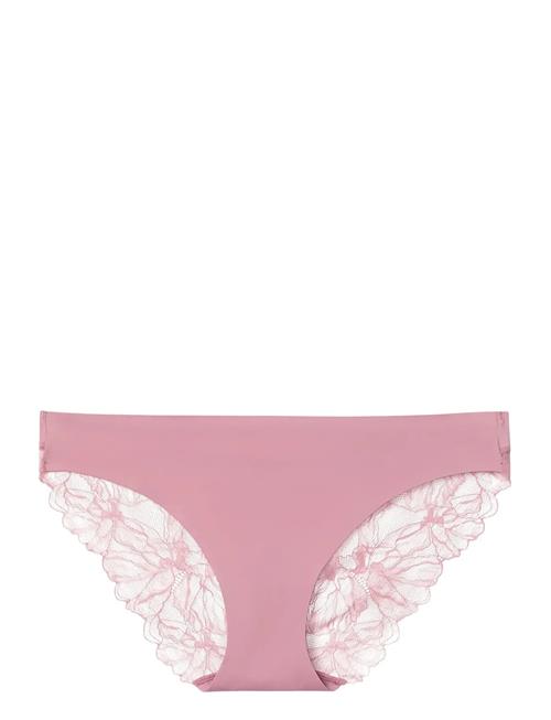 Calvin Klein | Bikini | XL