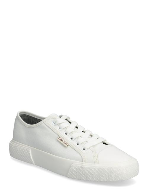 Calvin Klein | Vulc Low Lace Up Canvas | 40