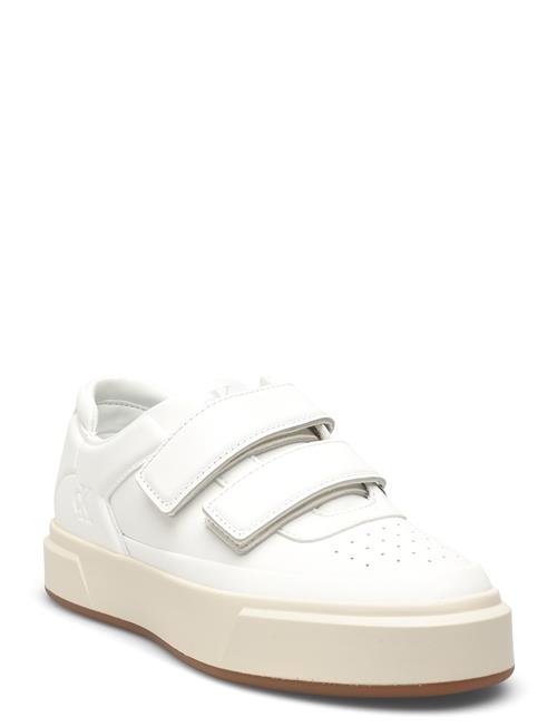 Calvin Klein | Basket Cups Velcro Lth | 40
