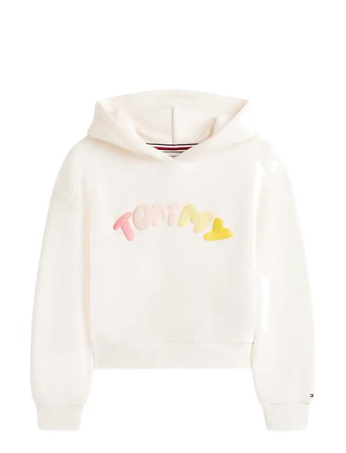 Tommy Hilfiger | Tommy Puff Print Hoodie | 122