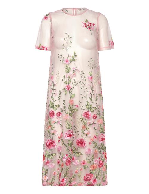 A-View | Fuschia Midi Dress | 34