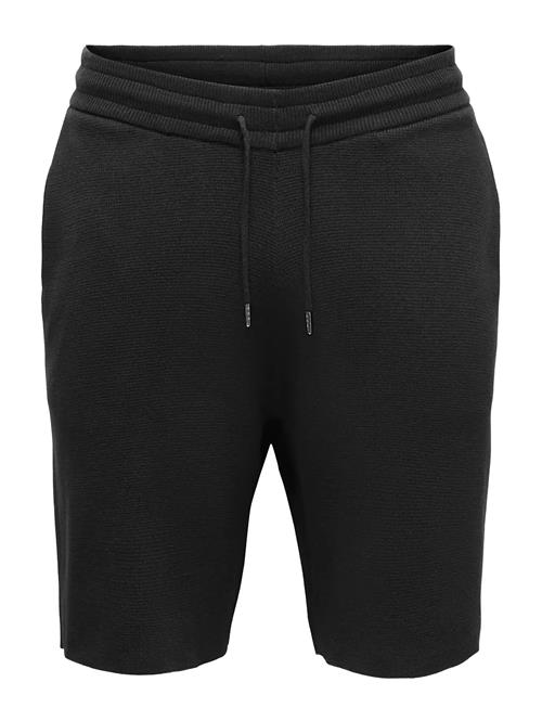 ONLY & SONS | Onssilas Reg Shorts Knit | XXL