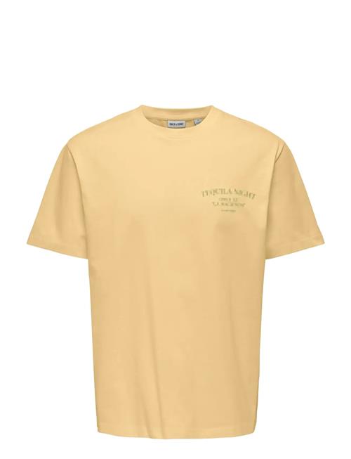 ONLY & SONS | Onsfred Life Rlx Ss Print Tee Noos | XS