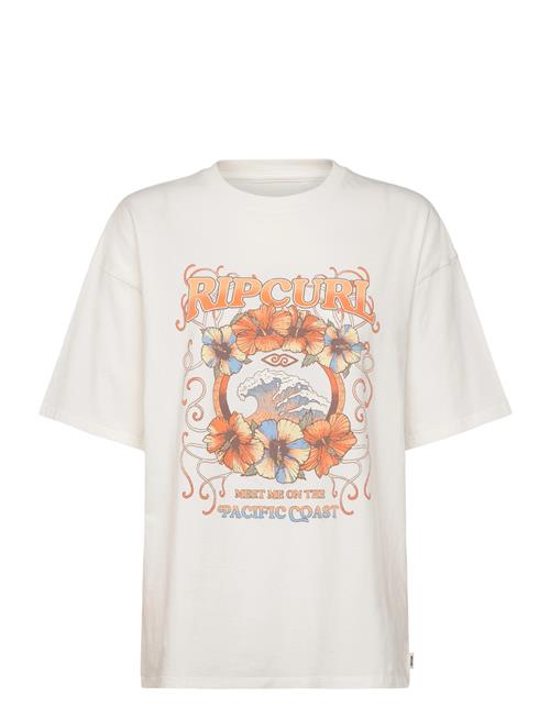 Rip Curl | Pacific Coast Heritage Tee | XS