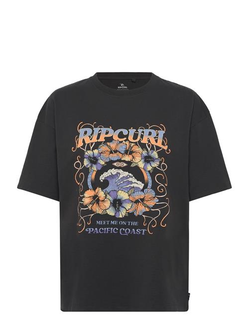 Rip Curl | Pacific Coast Heritage Tee | S