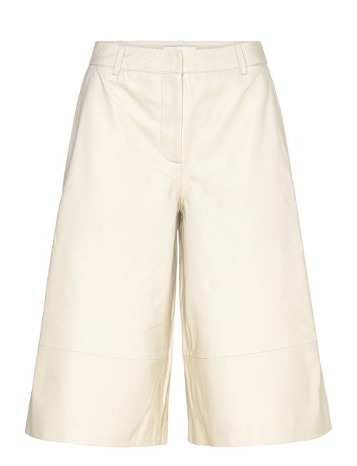 Copenhagen Muse | Cmroyal-Bermuda | L