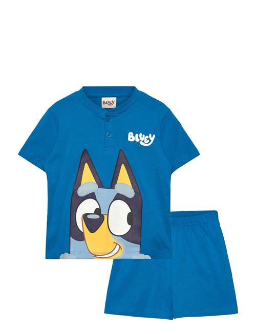 Bluey | Pyjama | 104