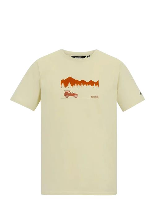 Regatta | Cline Ix | XL