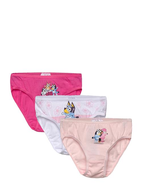 Bluey | Panties | 98/104