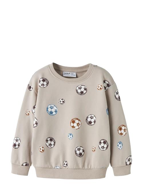 name it | Nmmdavis Ls Nreg Swe Bru | 110