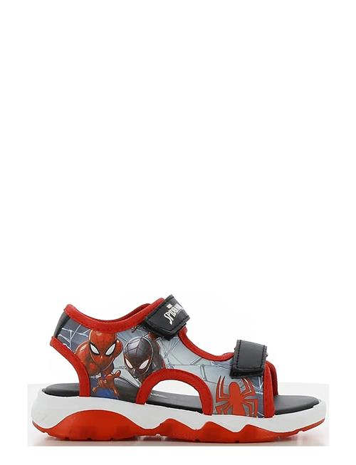 Leomil | Spiderman Sandal | 25