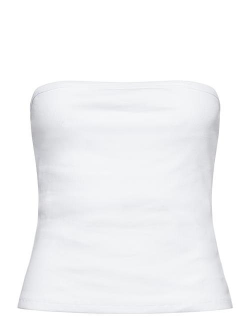 Twist & Tango | Rayla Tube Top | M