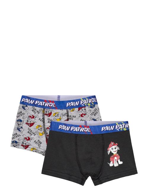 Paw Patrol | Boxer | 110/116