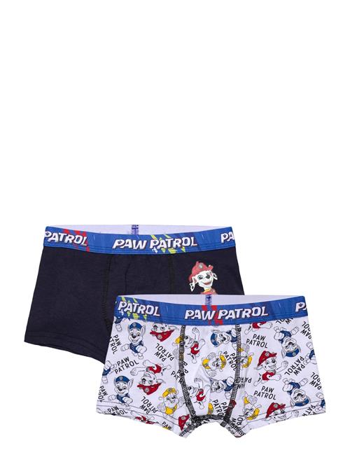 Paw Patrol | Boxer | 110/116