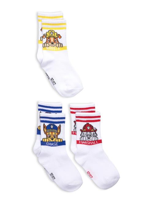 Paw Patrol | Socks | 31/34