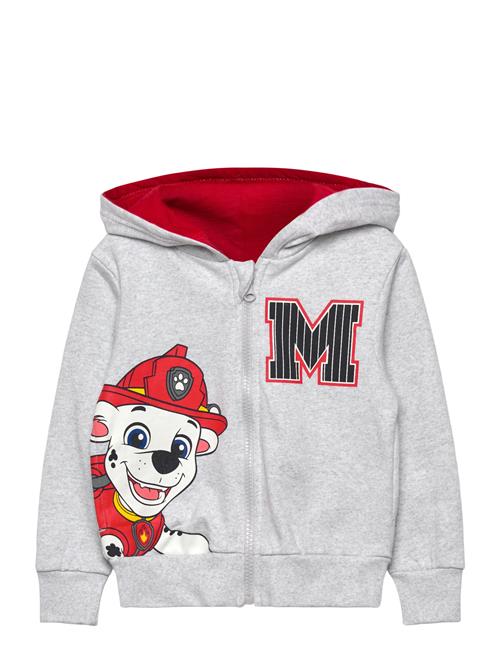 Paw Patrol | Sweats | 104