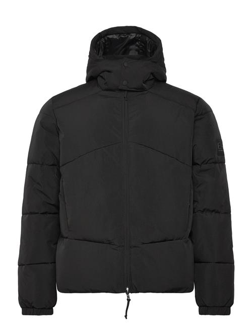 EA7 | Bomber Jacket | M