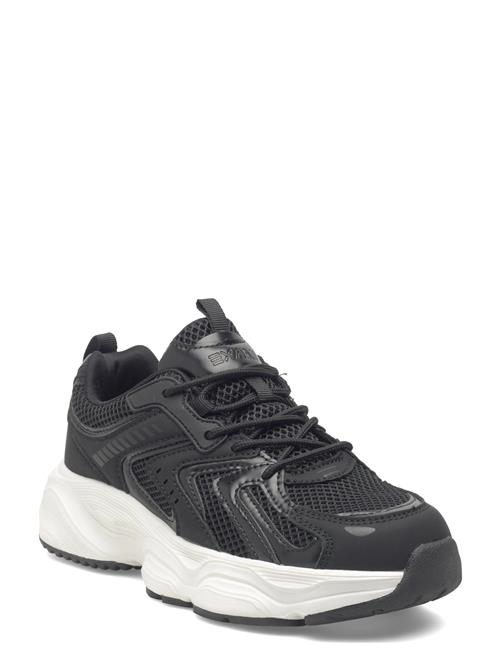 Exani | Brooke W | 39