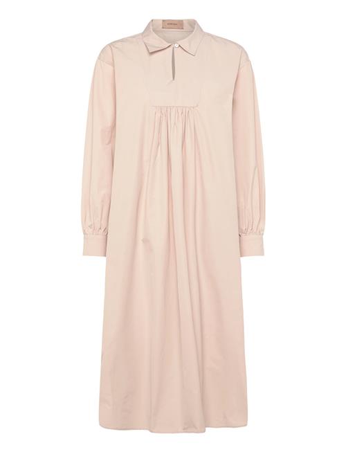 Rue de Tokyo | Drew Trench Cotton | XS