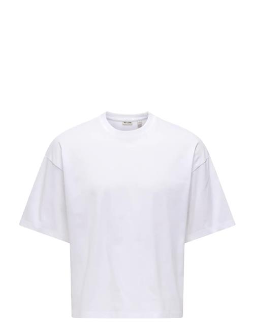 ONLY & SONS | Onsfred Rlx Ss Crop Tee | M