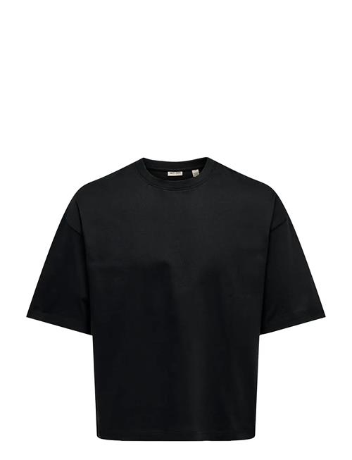 ONLY & SONS | Onsfred Rlx Ss Crop Tee | XXL