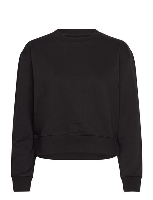 Organic Basics | Weekend Crop Crewneck | XL