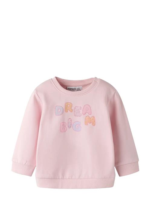 name it | Nbfdelia Ls Swe Bru | 56