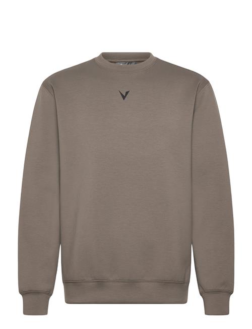 Virtus | Taro M Crew Neck | XL