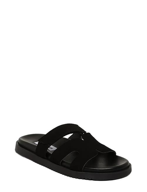 Steve Madden | Missile-E | 40