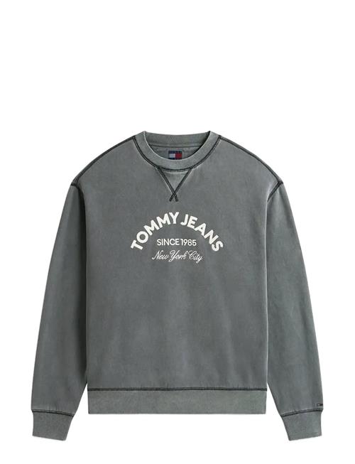 Tommy Jeans | Tjm Reg Gmd Applique Crew | M