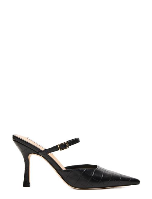 Steve Madden | Brecki | 41