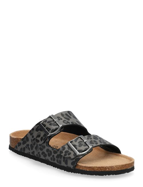 Exani | Spectra Leo W | 39