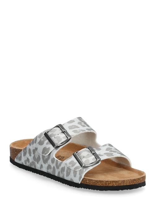 Exani | Spectra Leo W | 36