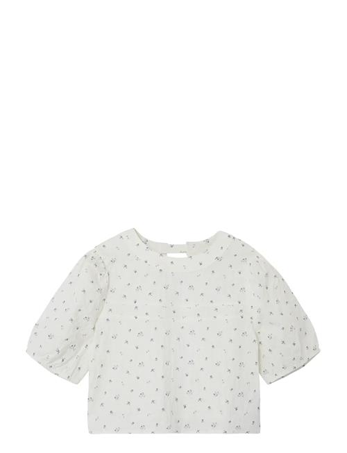 LMTD | Nlfheersa Ss Crop Top | 158-164