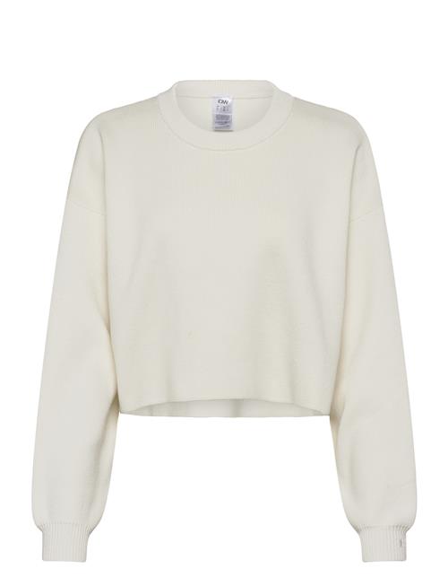 ICANIWILL | Soft Knit Oversized Cropped Crewneck | L