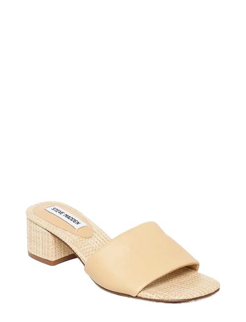 Steve Madden | Blanche | 36