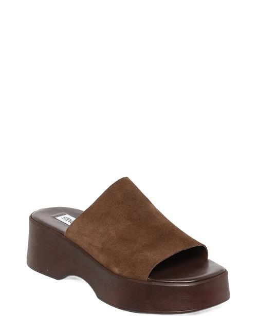 Steve Madden | Slinky30 | 36