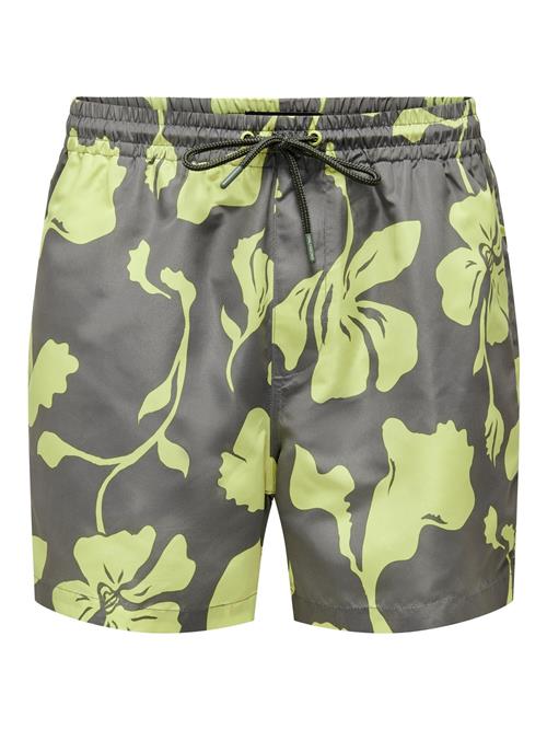 Only & Sons Badeshorts 'Ted Life'  mørkegrå / æble