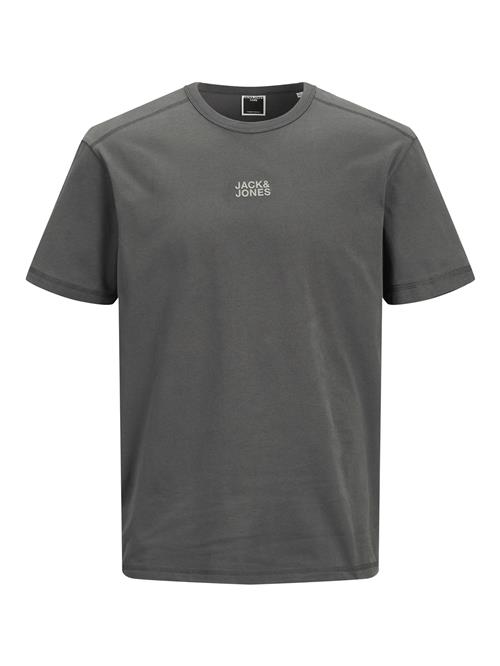JACK & JONES Bluser & t-shirts 'JWHCLASSIC'  grå / grafit