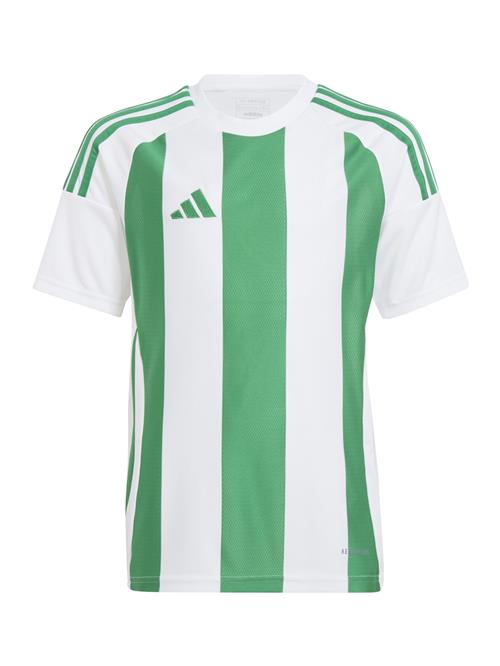 ADIDAS PERFORMANCE Funktionsskjorte  grøn / hvid