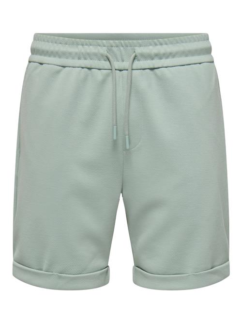 Only & Sons Bukser 'Newkodyl'  pastelgrøn