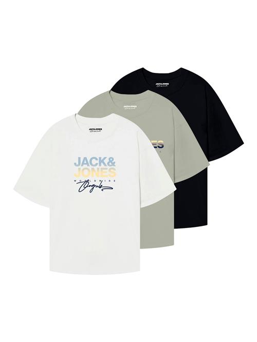 JACK & JONES Bluser & t-shirts 'JORCANGGU'  dueblå / pastelgrøn / sort / hvid