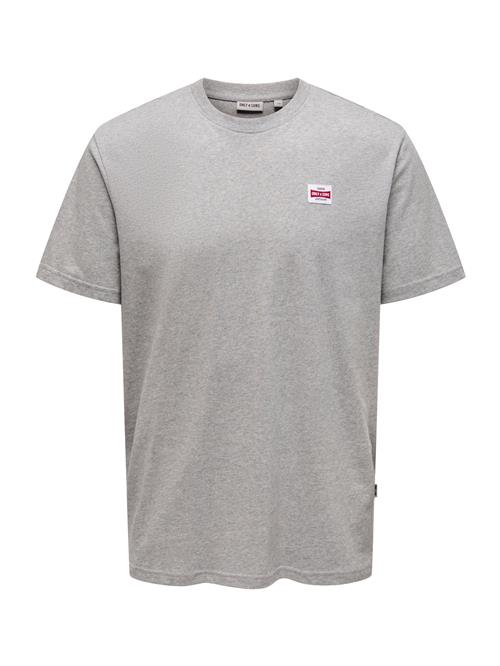Only & Sons Bluser & t-shirts 'ONSDAWSON'  lysegrå