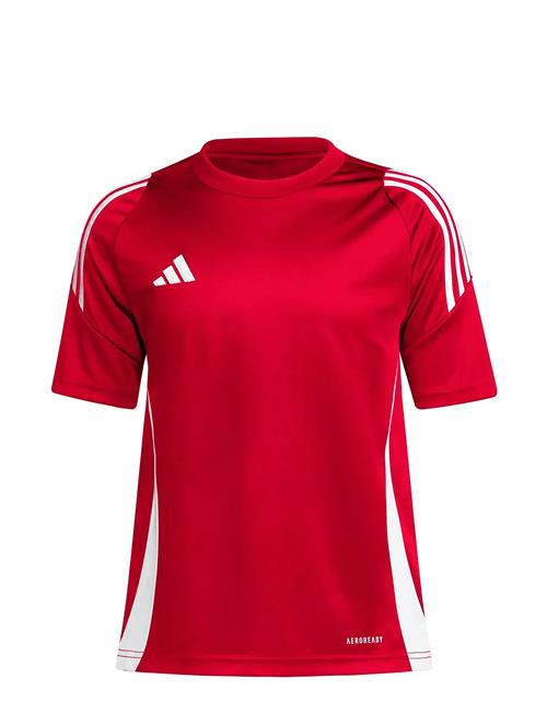 adidas Performance | Tiro24 Jsyy | 164