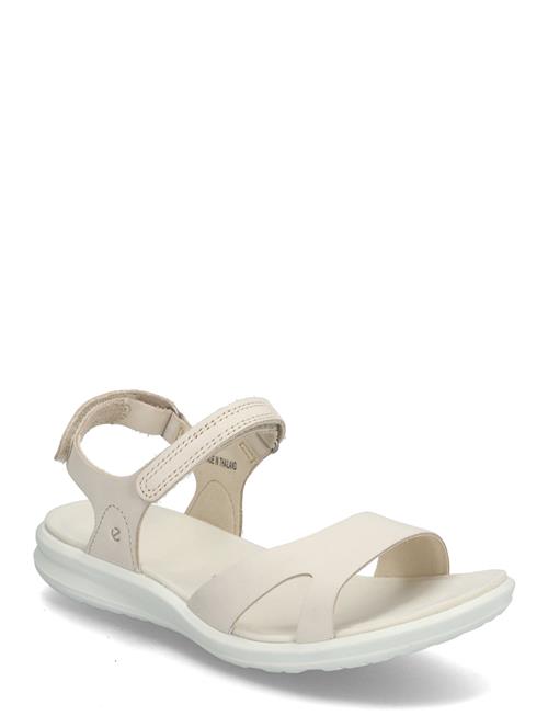 ECCO | Cruise Ii | 42