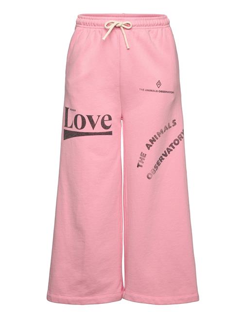 THE ANIMALS OBSERVATORY | Platypus Kid Sweatpants Pink | 6 Y