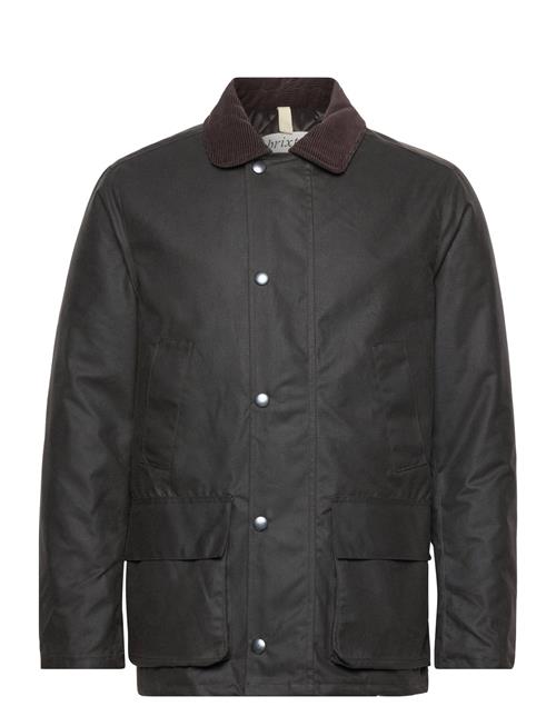 Brixtol Textiles | Curtis | M