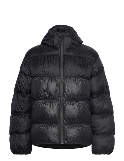 adidas Originals | Adidas Originals Adicolor Down Regen | M